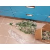 Seizis Zasněžený stromek (15H60-382S)